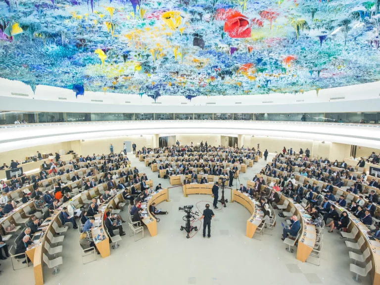 UN Human Rights Council